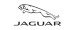 logo-jaguar-dealer-on-fire